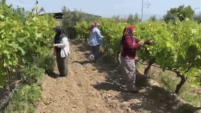 Çiftçilere kritik uyarı: Son günü beklemeyin