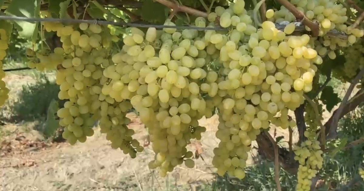 &Ccedil;ift&ccedil;ilere kritik uyarı: Son g&uuml;n&uuml; beklemeyin 1