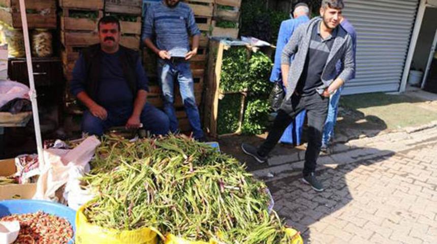 Muş'ta yetişen cağ bitkisinin garip sırrı! Yiyen ikiz çocuk sahibi oluyor!