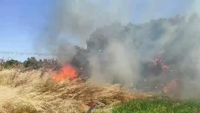 &Ccedil;anakkale&rsquo;de tarım arazisinde yangın 1