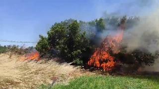 Çanakkale’de tarım arazisinde yangın