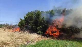 &Ccedil;anakkale&rsquo;de tarım arazisinde yangın