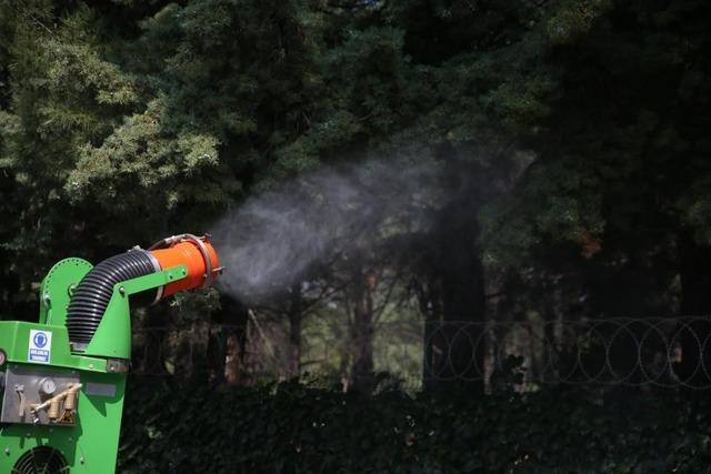 Merkezefendi&rsquo;de haşerelere karşı etkin m&uuml;cadele devam ediyor 2