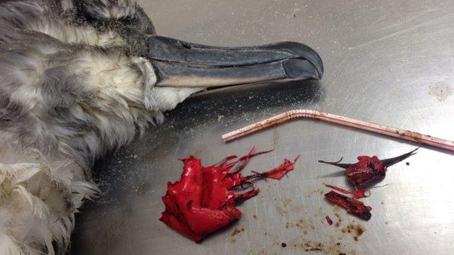 AB’de Plastik Pipetleri Yasaklama Teklifi