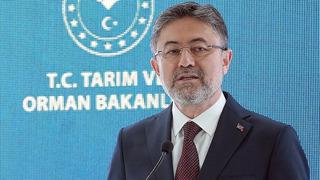 Bakan Yumaklı duyurdu! Çay üreticilerine 2,6 milyar liralık tarımsal destek ödemesi