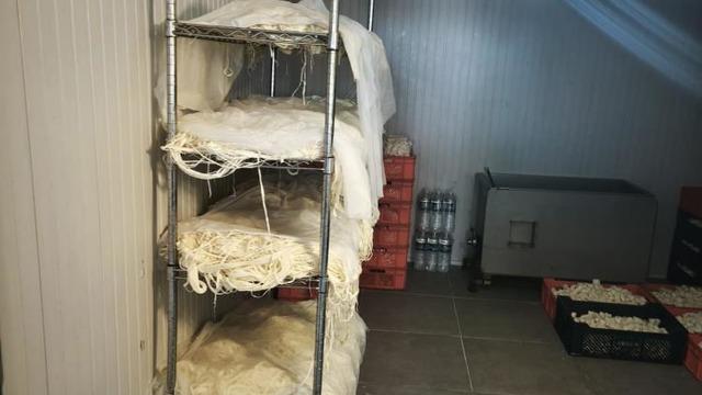 Ankara'da 9 ton bozuk süt ve süt ürünü ele geçirildi