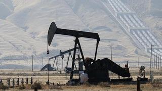 ABD'nin petrol sondaj kulesi sayısı 7 arttı