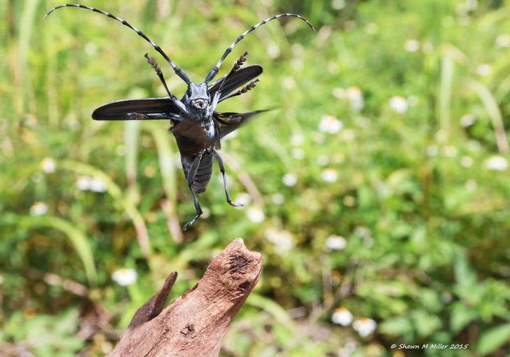 Drakulanın Trabzon'a nasıl geldiği ortaya çıktı! G4
