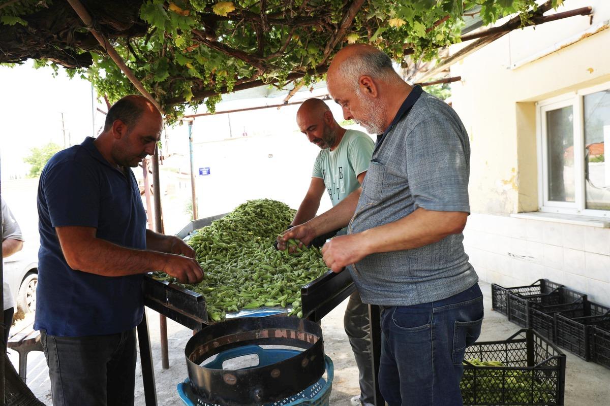 T&uuml;rkiye nin d&ouml;rt bir yanına g&ouml;nderiliyor! Kilosu 200 liraya dayandı: Tam bir kolajen deposu 1
