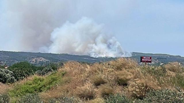 İzmir Çeşme'de yangın! Alevler makilik alana çıktı