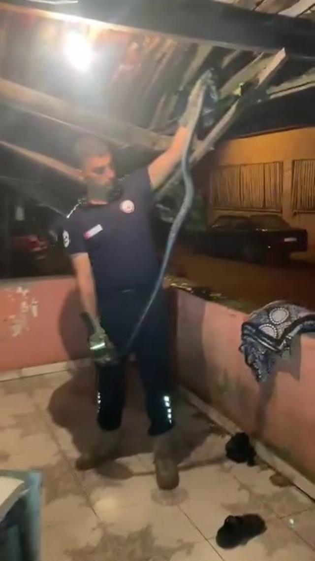 Bulaşık makinesine giren 2 metrelik karayılanı itfaiye &ccedil;ıkardı 2