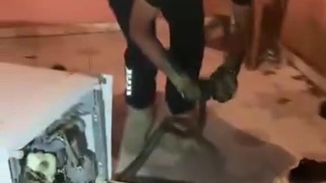 Bulaşık makinesine giren 2 metrelik karayılanı itfaiye çıkardı