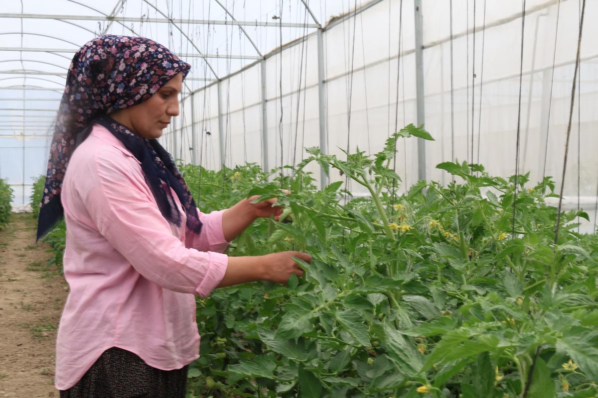 Bir ilk: Yeni gelir kapısı oldu, siparişlere yetişemiyorlar 1
