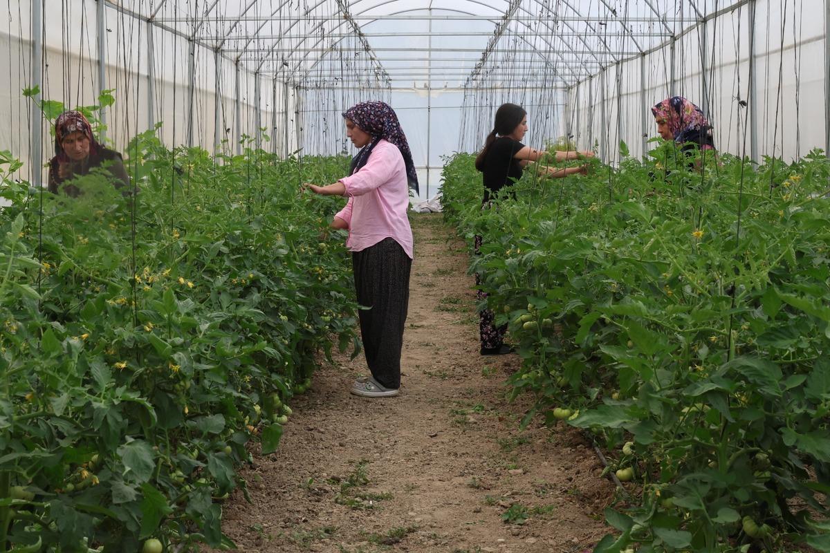 Bir ilk: Yeni gelir kapısı oldu, siparişlere yetişemiyorlar 2