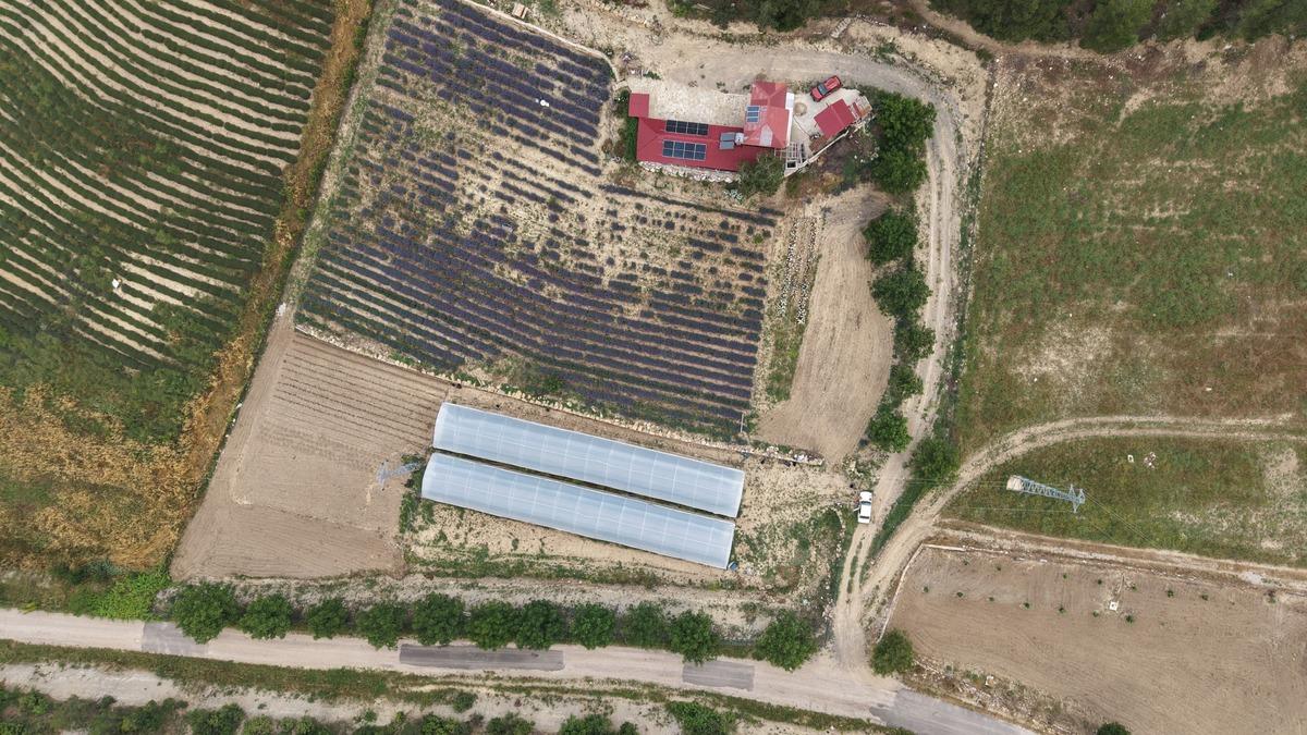 Bir ilk: Yeni gelir kapısı oldu, siparişlere yetişemiyorlar 7