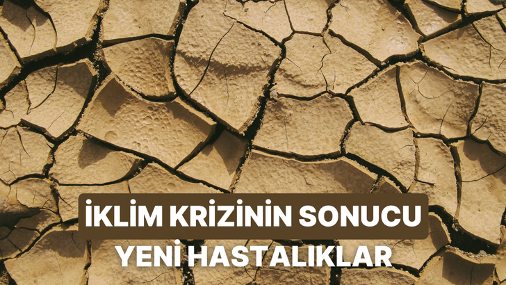 Sadece havayı değil sağlığımızı da yakıyor: İklim değişikliğinin tetiklediği yeni nesil sağlık problemleri