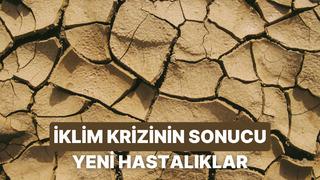 Sadece havayı değil sağlığımızı da yakıyor: İklim değişikliğinin tetiklediği yeni nesil sağlık problemleri