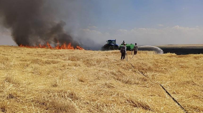 Diyarbakır&rsquo;da y&uuml;zlerce d&ouml;n&uuml;m arazi alevlere teslim oldu