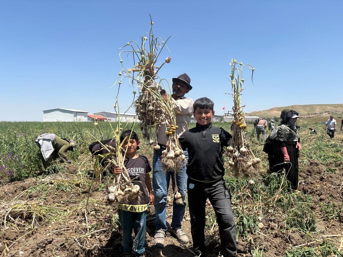 Denemeydi  Burada niye olmuyor  diye başladı: 350 ton bekleniyor 1