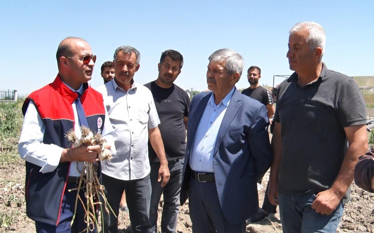 Denemeydi  Burada niye olmuyor  diye başladı: 350 ton bekleniyor 7