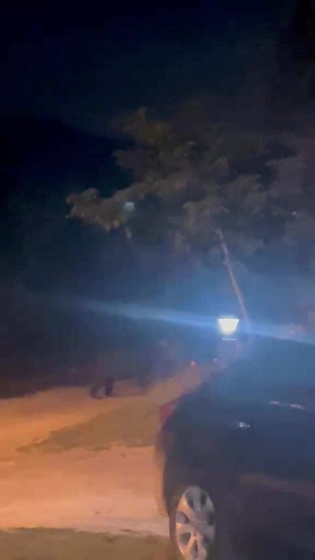 K&ouml;ye inen ayı k&ouml;yl&uuml;lere heyecan ve korku yaşattı 1