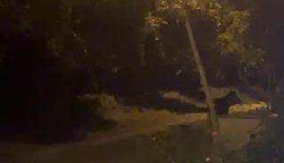 K&ouml;ye inen ayı k&ouml;yl&uuml;lere heyecan ve korku yaşattı