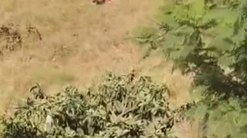 Sulama kanalına giren &ccedil;ocuğa şiddet: O anlar kamerada
