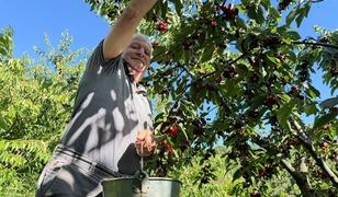 Bakımı 12 ay s&uuml;r&uuml;yor: Gen&ccedil; &uuml;retici tek başına 15 ton &uuml;retiyor
