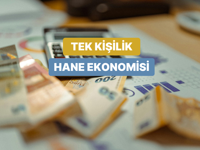 Tek Kişilik Hane Ekonomisinin K&uuml;resel Artışı