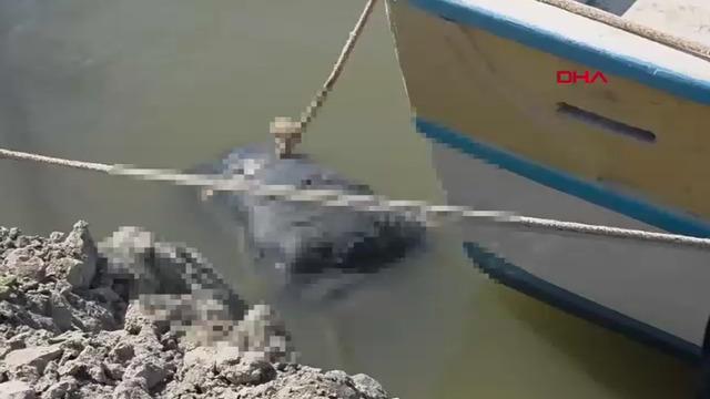 Hatay'da denizde erkek cesedi bulundu