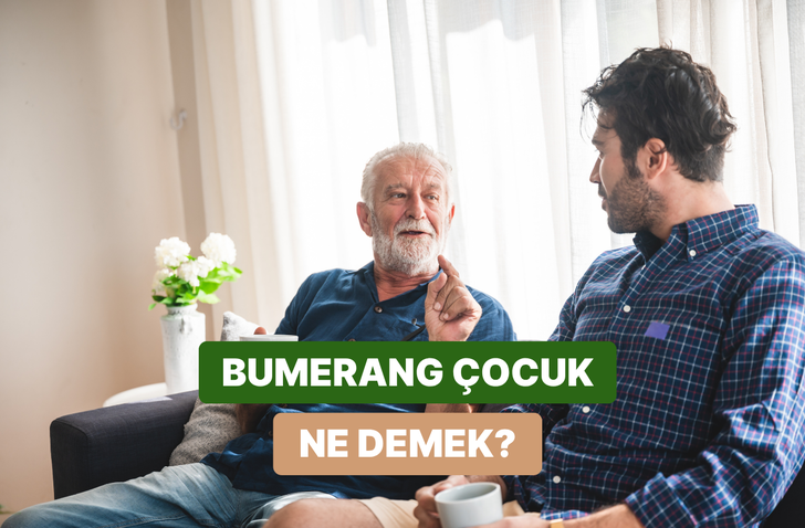 Bumerang &Ccedil;ocuklar: Aile Evine D&ouml;nen Yetişkinlerin Oluşmasının Nedeni ve Hane B&uuml;t&ccedil;esine 9 Etkisi