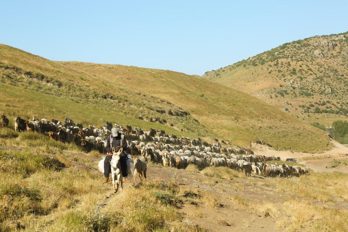 Binlercesi aynı anda yola &ccedil;ıktı! Ortaya &ccedil;ıkan manzara hayran bıraktı 2