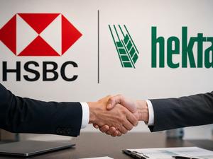 HSBC'den Hektaş (HEKTS) a&ccedil;ıklaması! %5 eşiği aşıldı