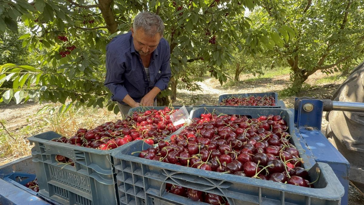 &Uuml;retici 70 liraya satıyor, t&uuml;ketici 200 liraya alıyor 4