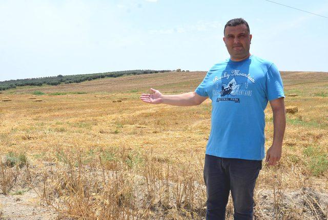 Adana'da buğday hasadında sona doğru