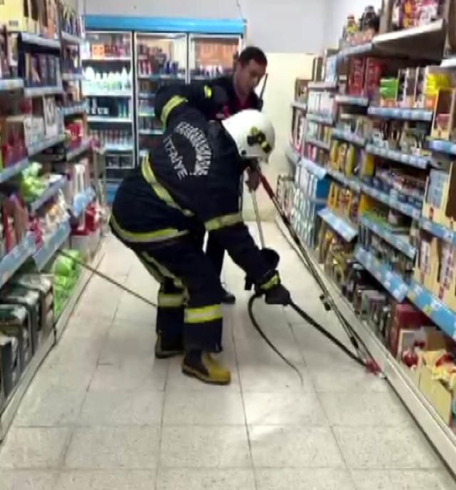 Kahramanmaraş ta markete yılan girdi! 2
