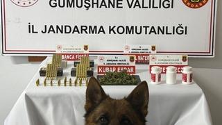 Gümüşhane’de uyuşturucu operasyonu