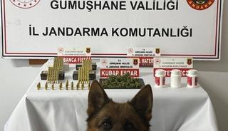 G&uuml;m&uuml;şhane&rsquo;de uyuşturucu operasyonu