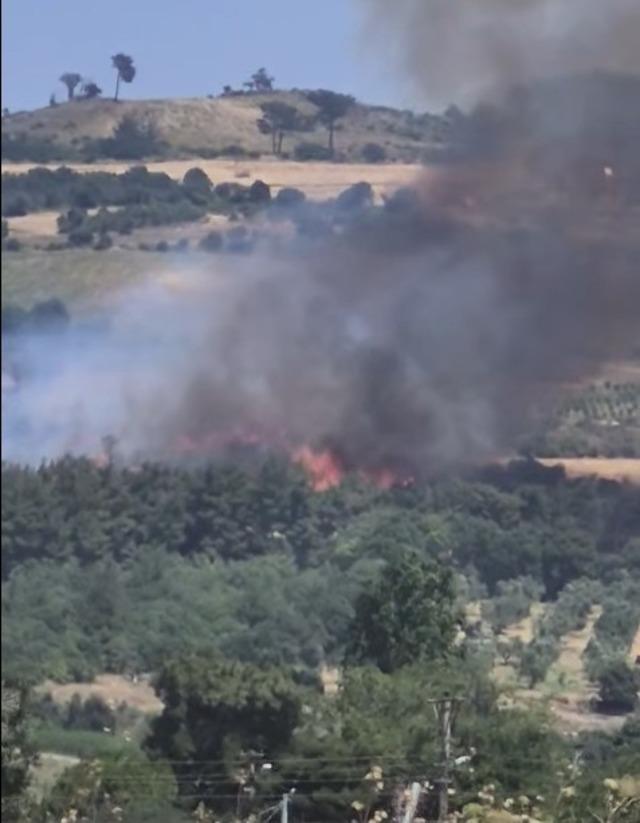 &Ccedil;anakkale&rsquo;de tarım arazisinde yangın 6
