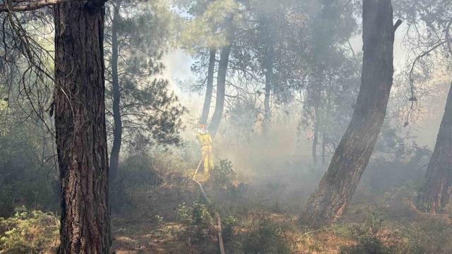 &Ccedil;anakkale&rsquo;de tarım arazisinde yangın 5