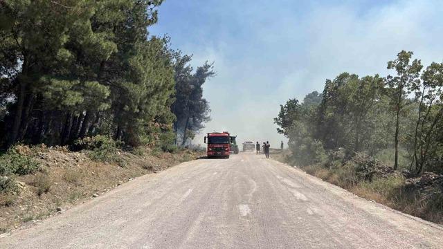 &Ccedil;anakkale&rsquo;de tarım arazisinde yangın 2