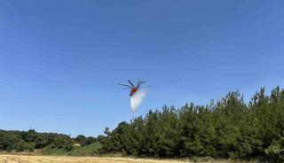 &Ccedil;anakkale&rsquo;de tarım arazisinde yangın
