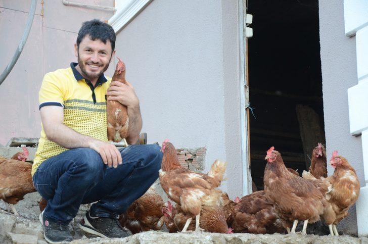 Ordu'da mobil köy yumurtası servisi G2