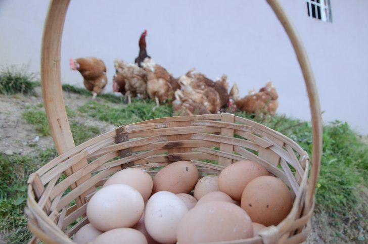 Ordu'da mobil köy yumurtası servisi G3