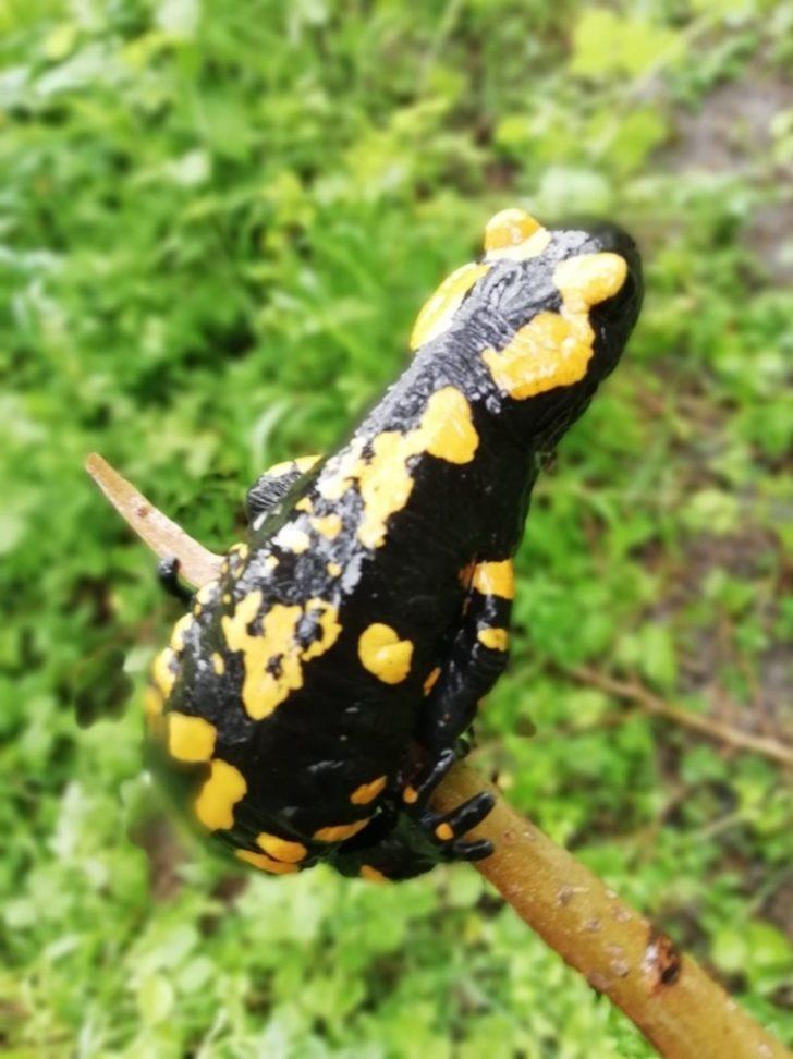 Balık avlarken karşısına çıktı! Ne olduğunu öğrenince çok şaşırdı G3