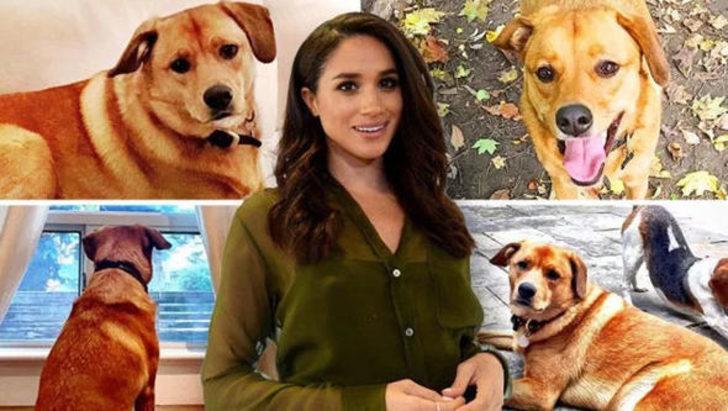 Sadece kendi hayatını değiştirmedi  G1