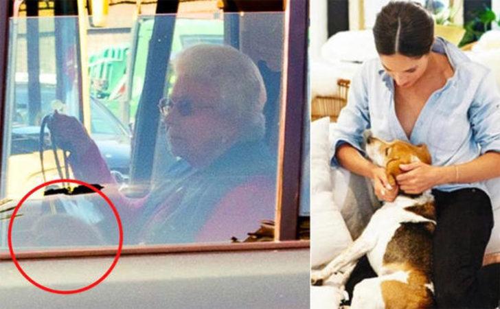 Sadece kendi hayatını değiştirmedi  G2