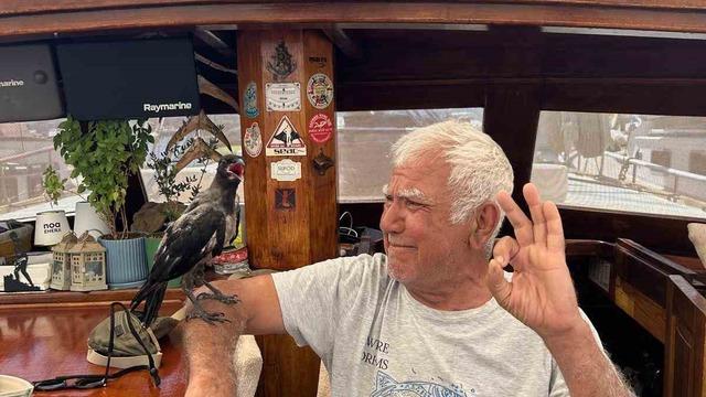 Muğla'da sıcak havadan etkilenen karga kurtarıldı