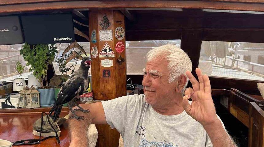 Muğla'da sıcak havadan etkilenen karga kurtarıldı
