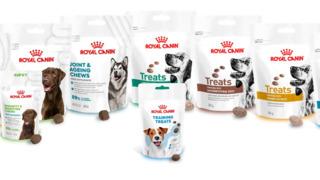 Royal Canin’den köpeklerin özel ihtiyaçlarına yönelik yeni nesil beslenme desteği: Fonksiyonel beslenme destekli tamamlayıcı ödül maması serisi